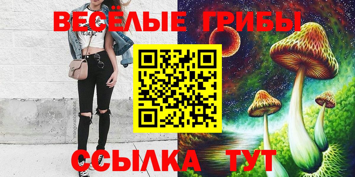 Галлюциногенные грибы мицелий  Вход с VPN  цена   Галлюциногенные грибы прущие грибы  Екатеринбург 
