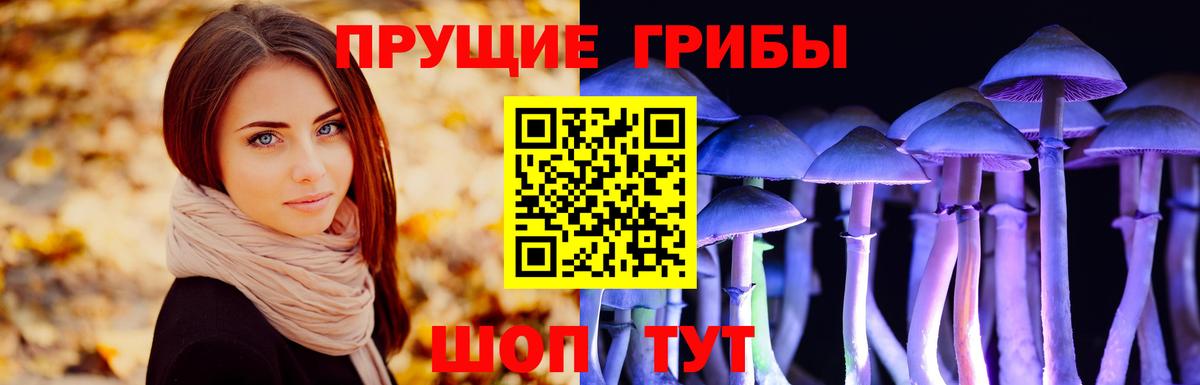 Псилоцибиновые грибы Psilocybine cubensis Екатеринбург
