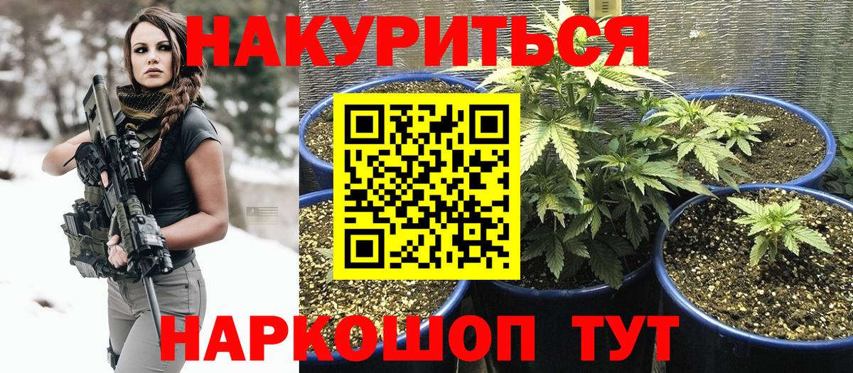 Шишки марихуана семена Екатеринбург